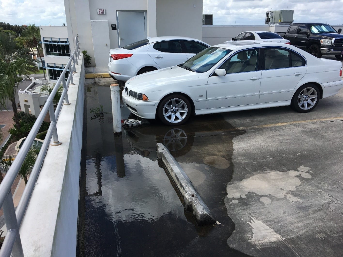ponding