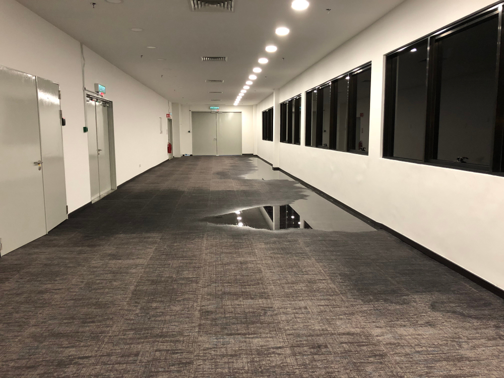 water intrusion engineering atlanta